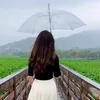 nguyejafqs8