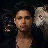 amirali7017