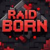 raidbornsmp