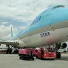 OCHOAsv503