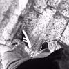 user9329508166012