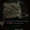 user4974093304485