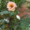 abderrahman.gheri