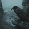 crowofthedark