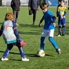 eden_meert