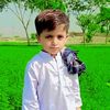 irfan.haider9103