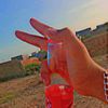 ali_king_811