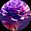 ahmed_sadam8