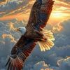 sharafu.sharafu46