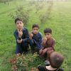 user4133553108632
