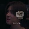 editingfordays_