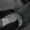 regina3942021238845