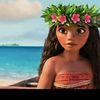 moana.moana516