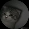 zzz_josx