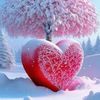 user667631260