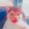 hiiiiiiiiiiiiiiiiii845
