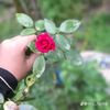 user98810710534097