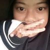 wida