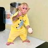 Monkey bibi