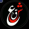 user5260727119939