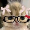 nay.yoon679