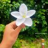 fabihaislam679