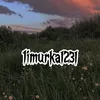 timurka1_so2