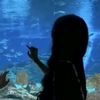 sunny_8078