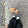 klaraklara7333