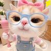 rara.imups0