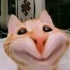 phucduyy59