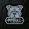 pitbull