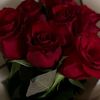 rachach87