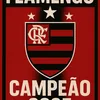 Mengocampeao2025
