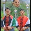 omer71181