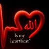 user954618461841