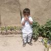 pagallarkaa295
