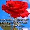 md.apon123454