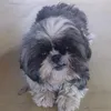 helga.a.cadelinha