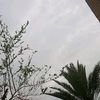 user28531200222788