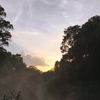 wadii_77