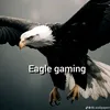 eaglegaming311