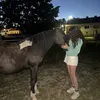 Ossi