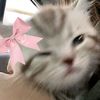 robloxgmail.com181