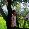 bibash.magar785