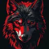تومــم.TOM.