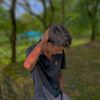 mdshkib548