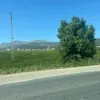 nourhane6949