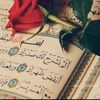 user8810134331179