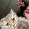 hinni888